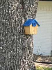 Bird house