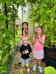 Children with potatoes in garden
