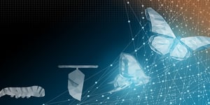 Caterpillar turning into butterfly modernization concept  