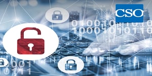 Risk management vector image with locks and typing on keyboard