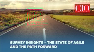 _Survey Insights_Agile