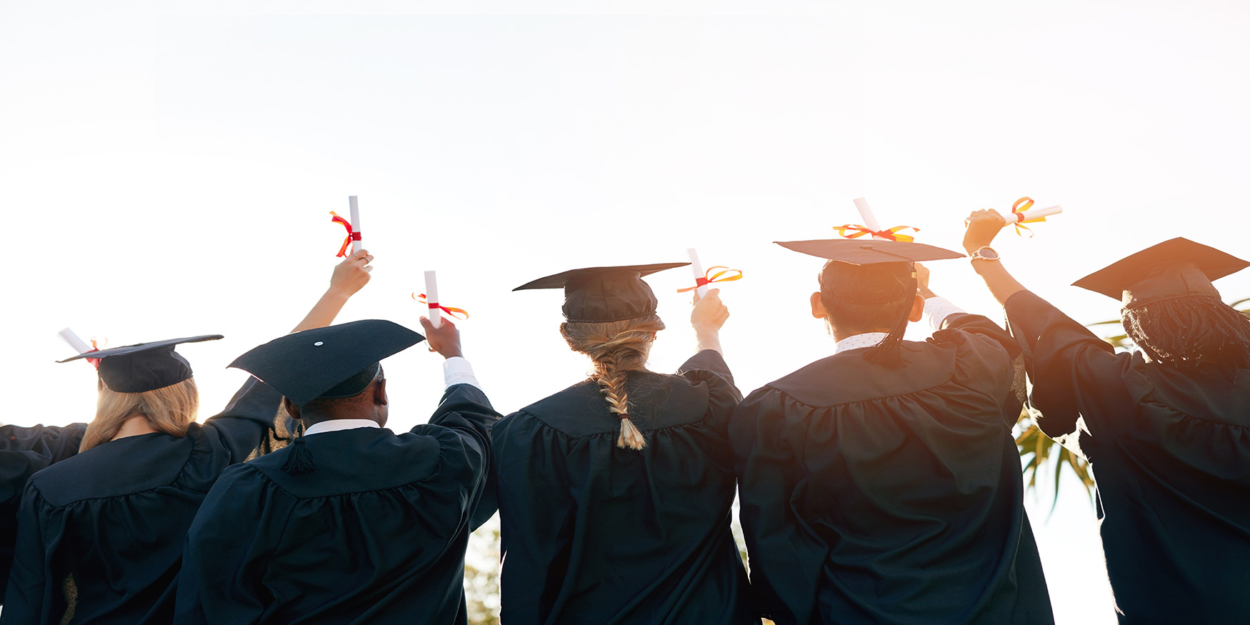 Group of graduates facing backwards holding diplomas